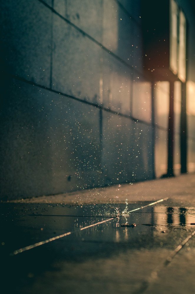 Photograph by Егор Зубанов