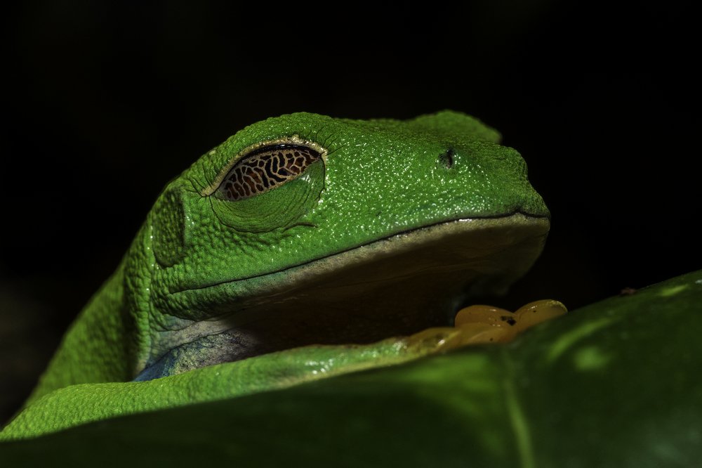 Photograph by FATIH GONUL