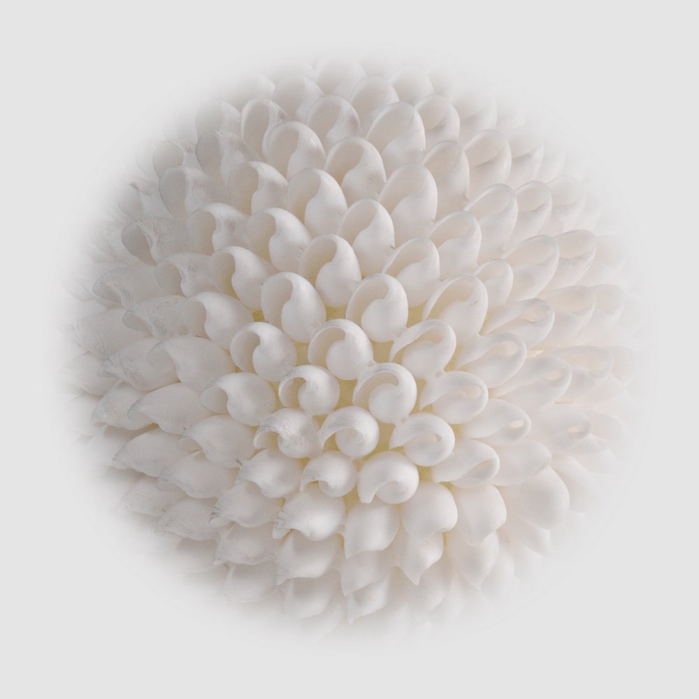 Photograph by Людмила Ефремова