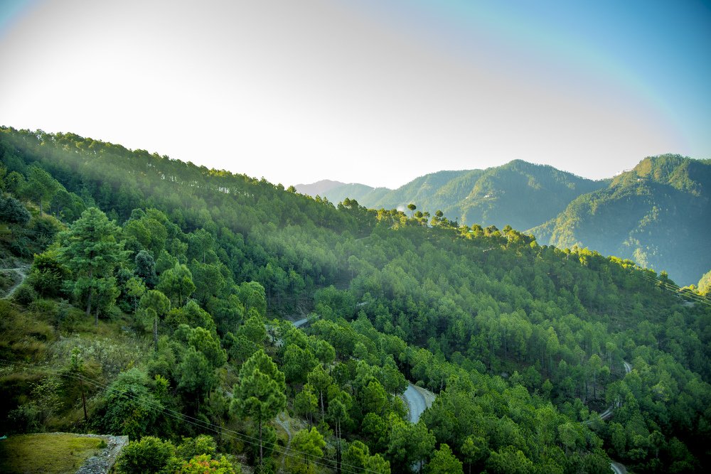 Hills and Valleys.