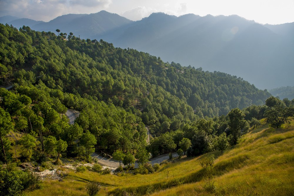 Hills and Valleys.
