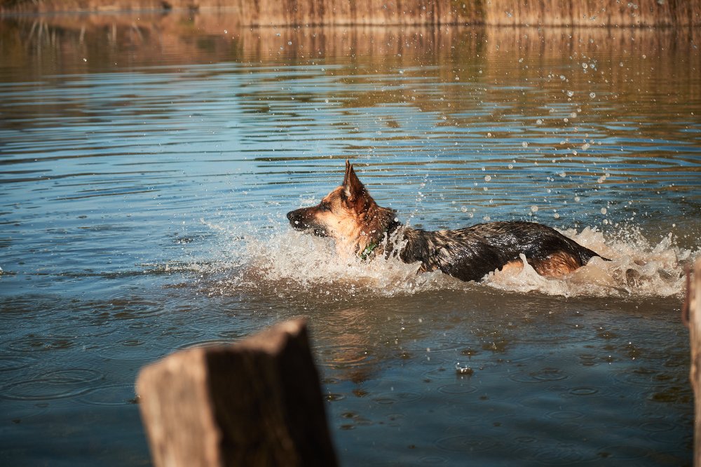 Photograph by Tjaša Završnik