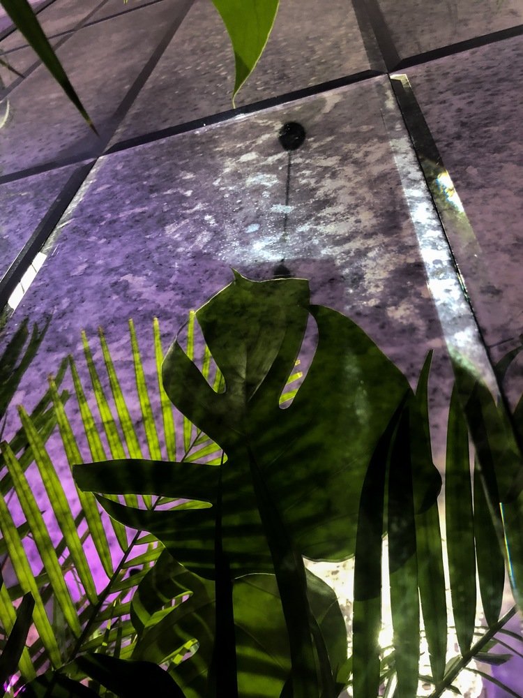 Photograph by Арина Колесник