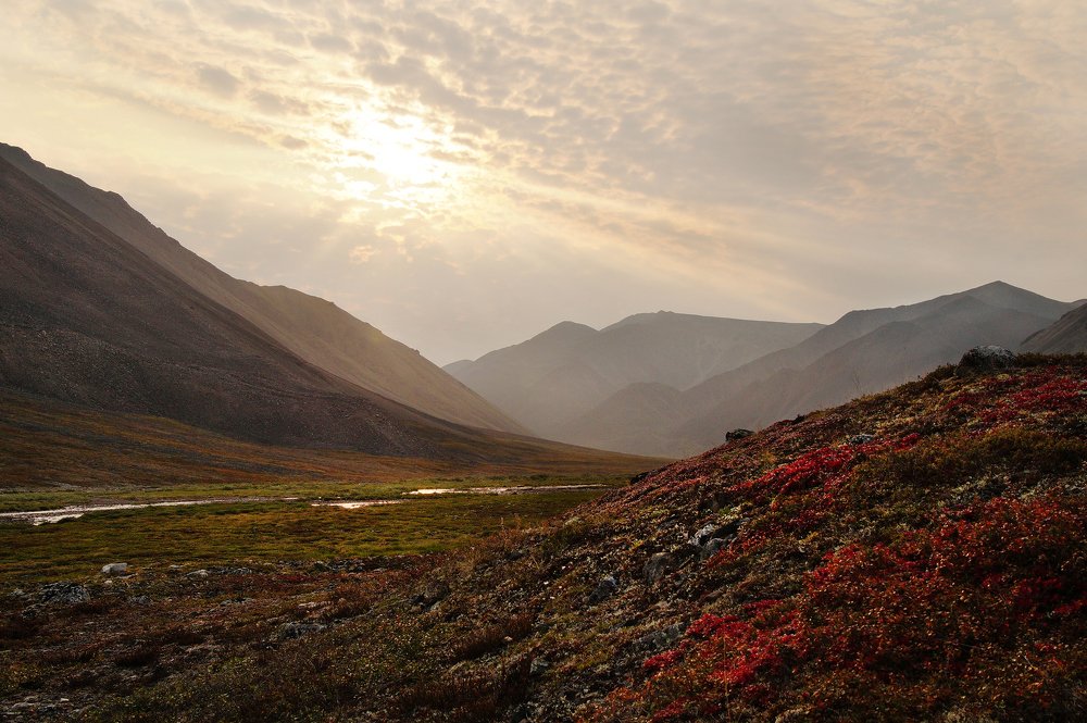 Photograph by Ирина Щеглова