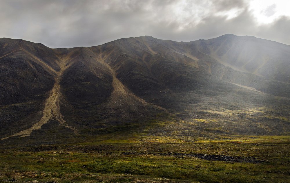 Photograph by Ирина Щеглова