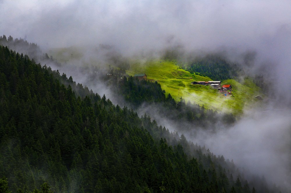 Photograph by Ibrahim Aysündü