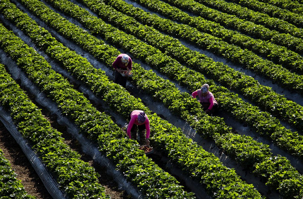 Photograph by Ibrahim Aysündü