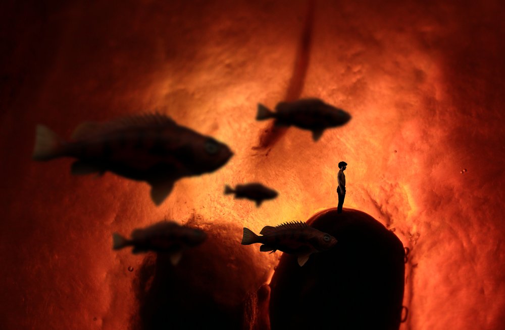 Фотография автора arabzadeh hossein