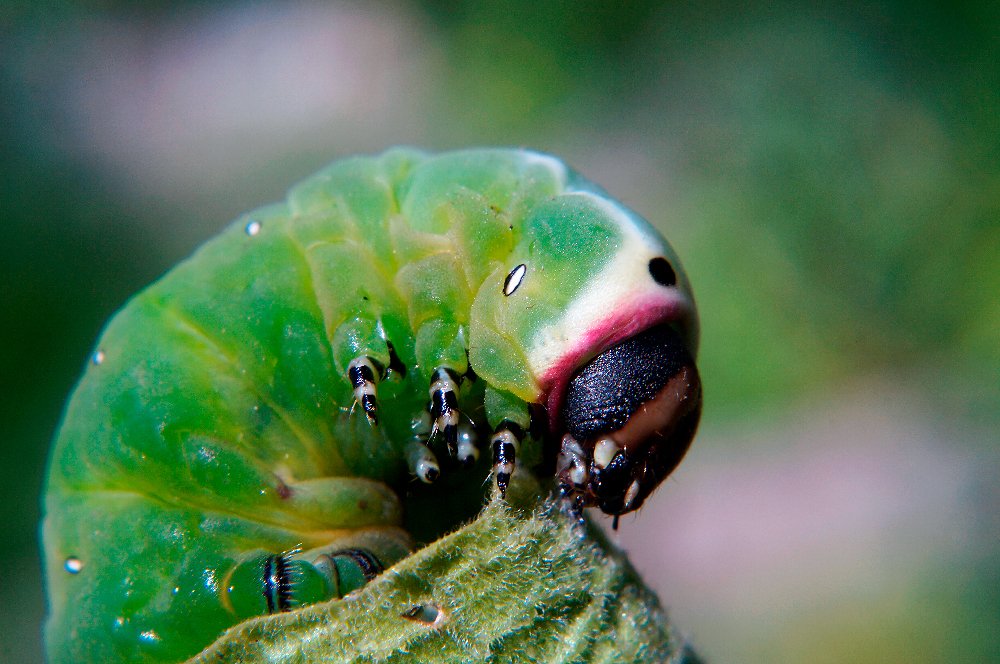 Photograph by Сергей Заболотских