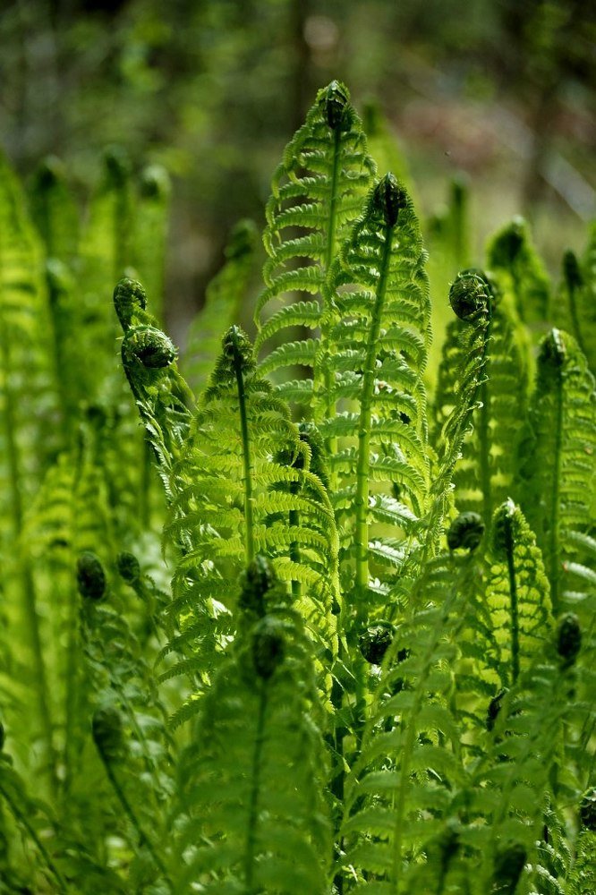 Photograph by Александр Попов