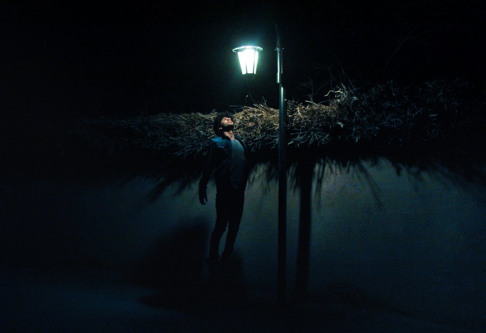 Photograph by pegah pouresmaeil