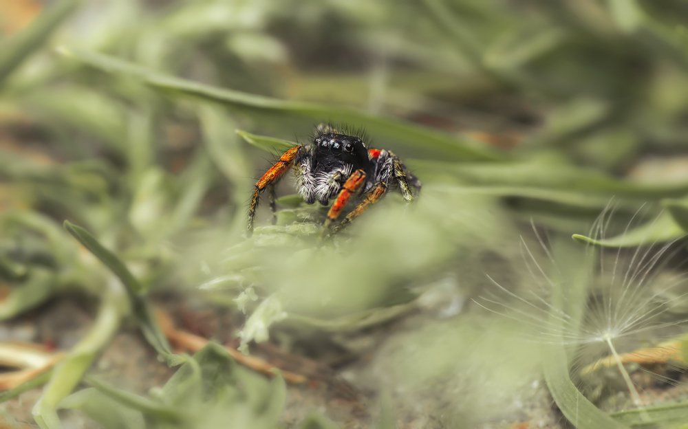 Photograph by Тараненко Анжелика