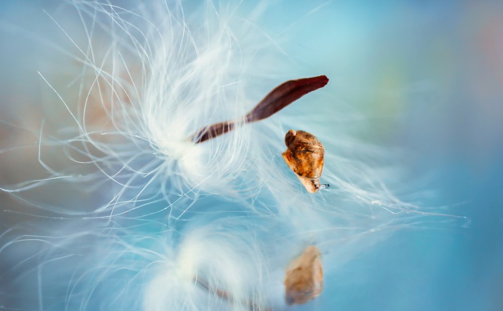 Photograph by Тараненко Анжелика