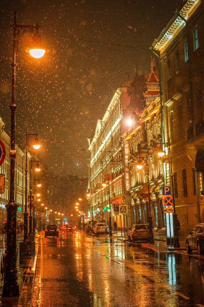 Фотография автора Алексей Новиков