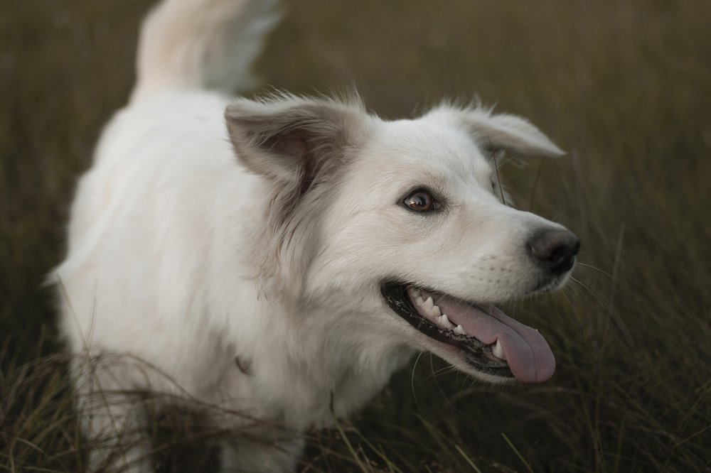 Photograph by  Дмитрий