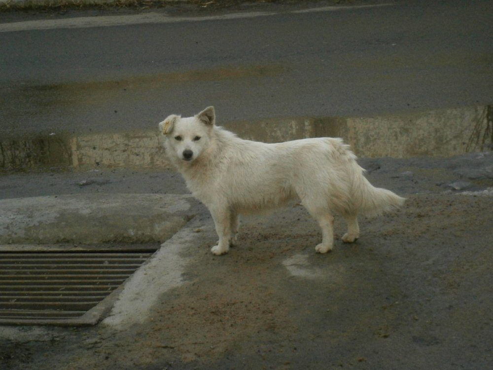 Photograph by Сергей Зиньковский