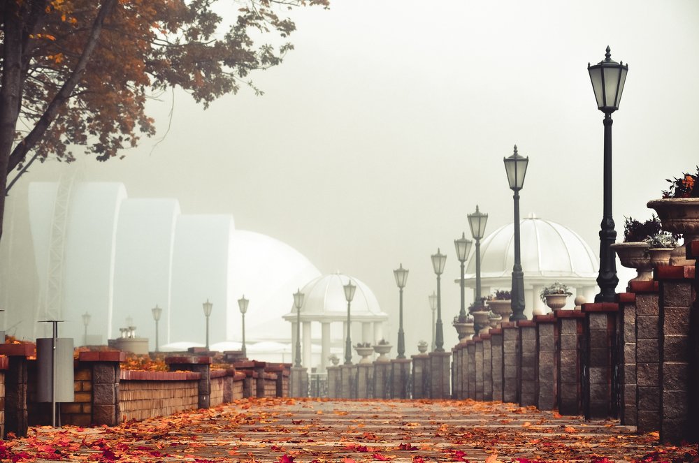 Республика Беларусь, г.Горки