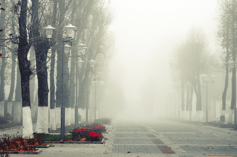 Республика Беларусь, г.Горки