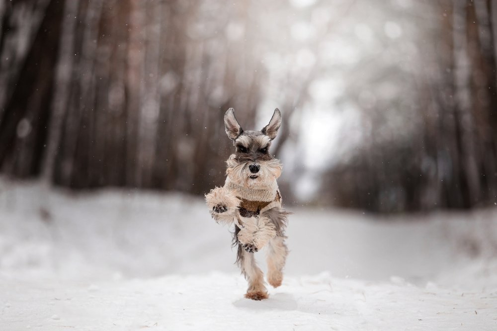 Photograph by Мария Старосельцева