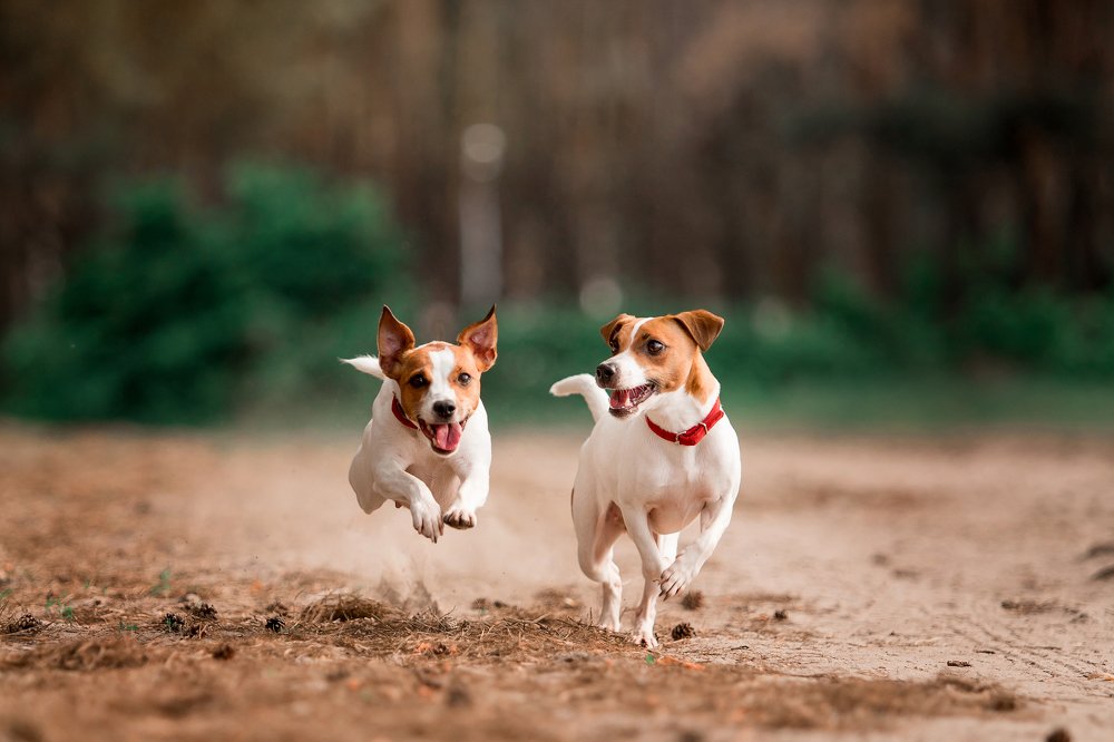 Photograph by Мария Старосельцева