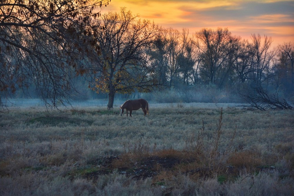 Photograph by Денис Козьяков