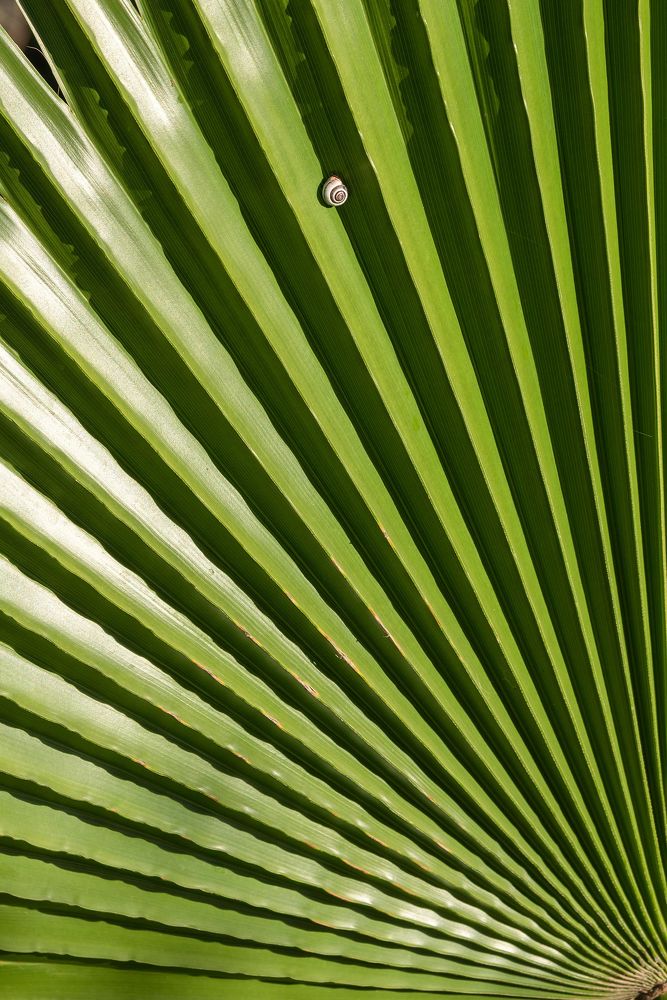 Photograph by Борис Недосеков