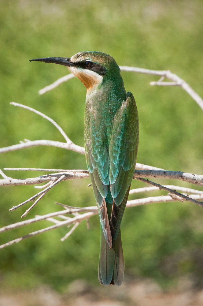 Photograph by Борис Недосеков