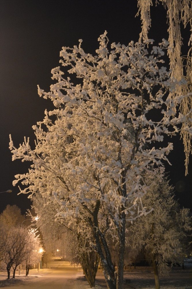 Черное и белое