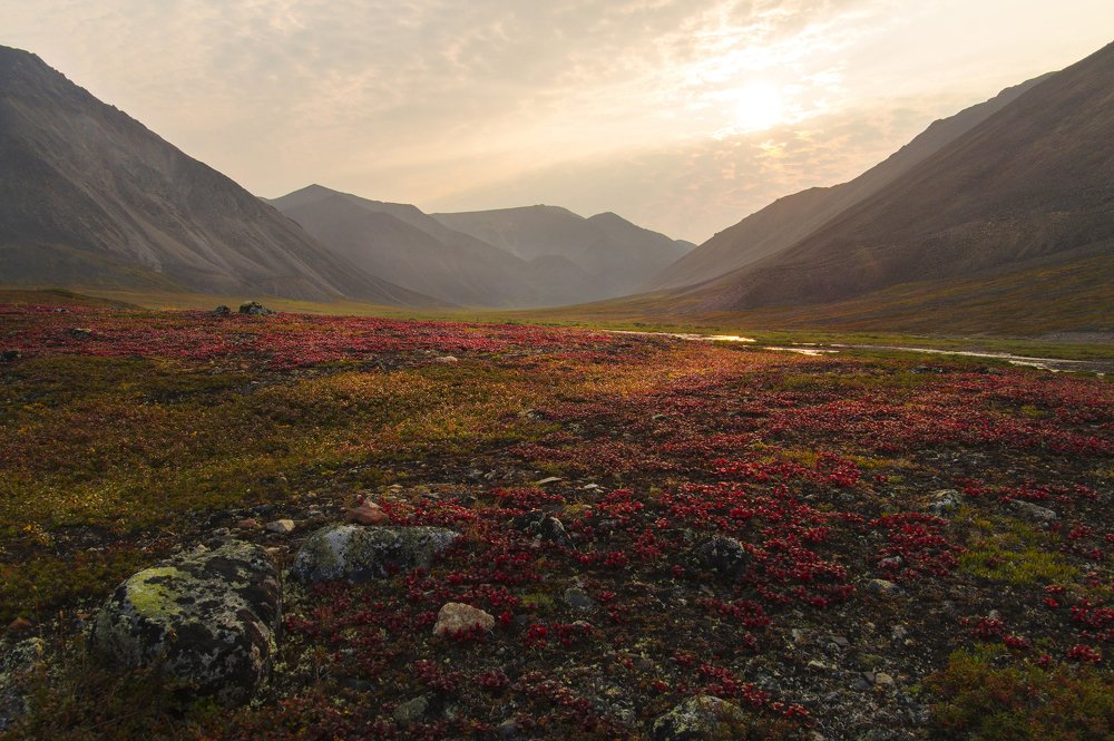 Photograph by Ирина Щеглова