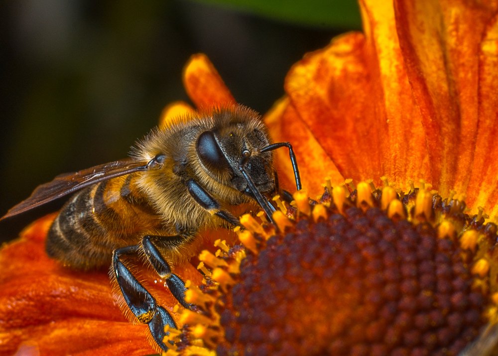 Photograph by Виктор Ноговицин