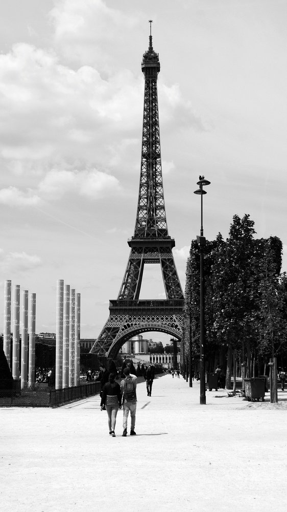 Photo #3779426