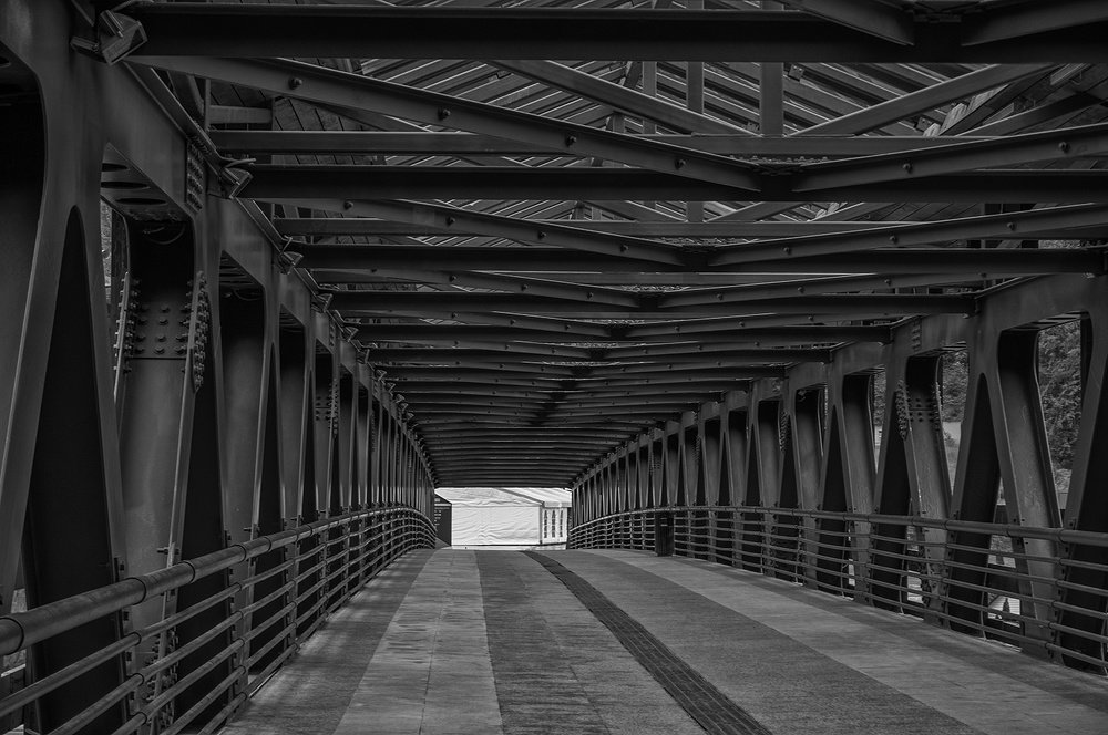 Фотография автора David Solodar