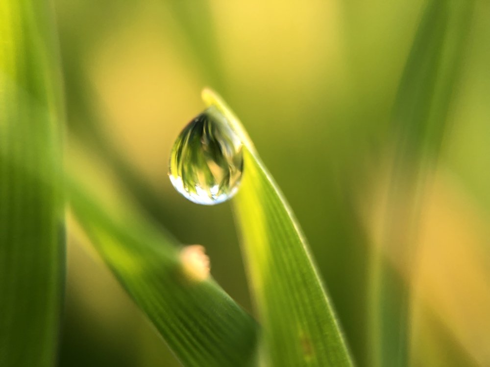 Photograph by DZMITRY