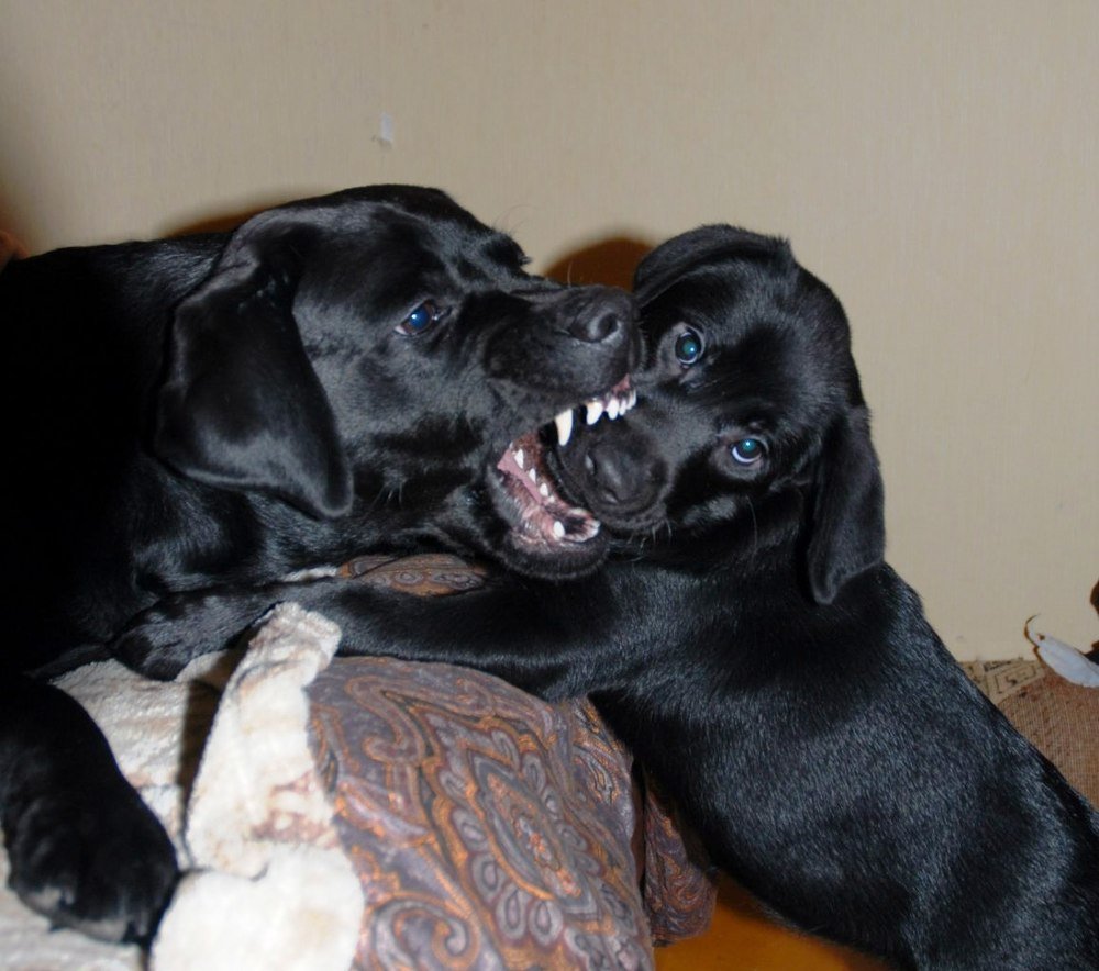 Мама с дочкой