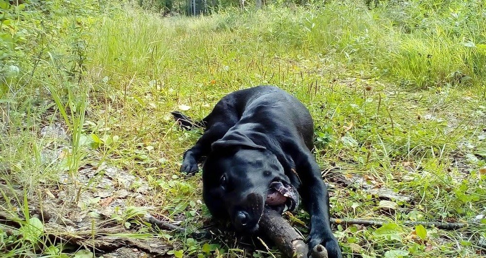 Photograph by Лариса Капустина