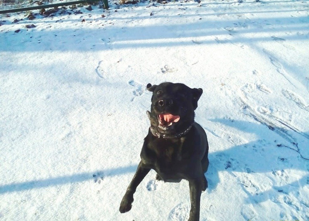 Photograph by Лариса Капустина