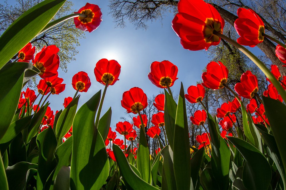 Фотография автора Владимир Пронин