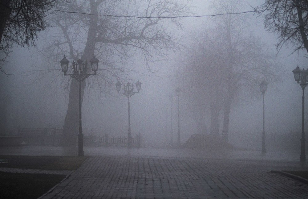 Фотография автора Александр Кременицкий