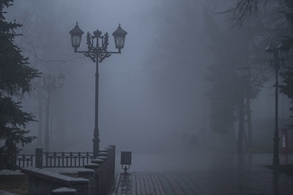 Фотография автора Александр Кременицкий