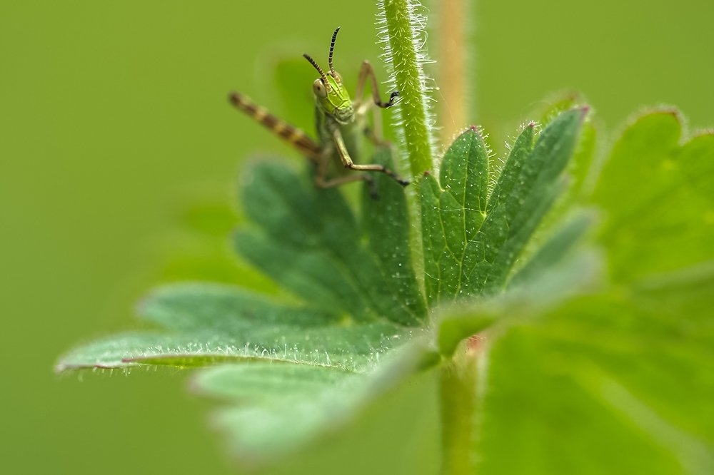 Photograph by Владимир Пронин