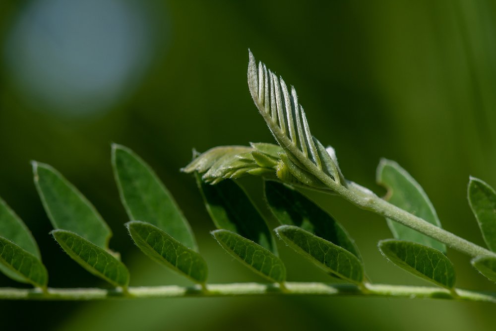 Фотография автора Владимир Пронин