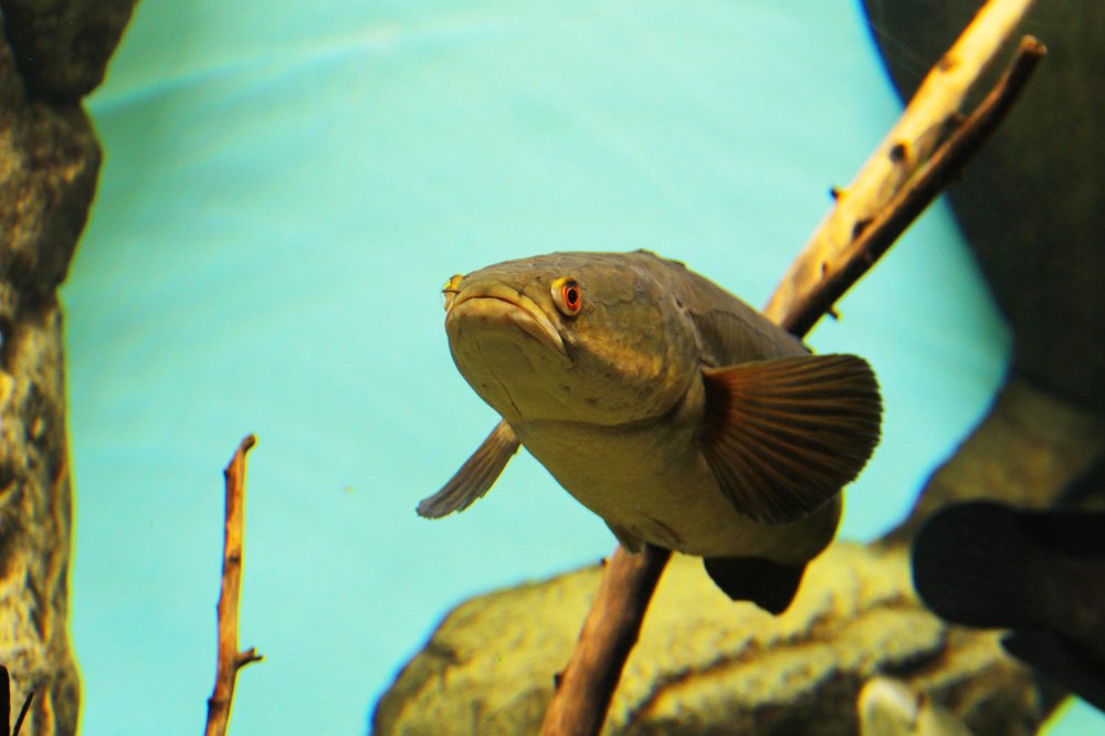 Photograph by Игорь Быков