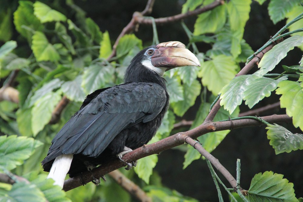 Photograph by Игорь Быков