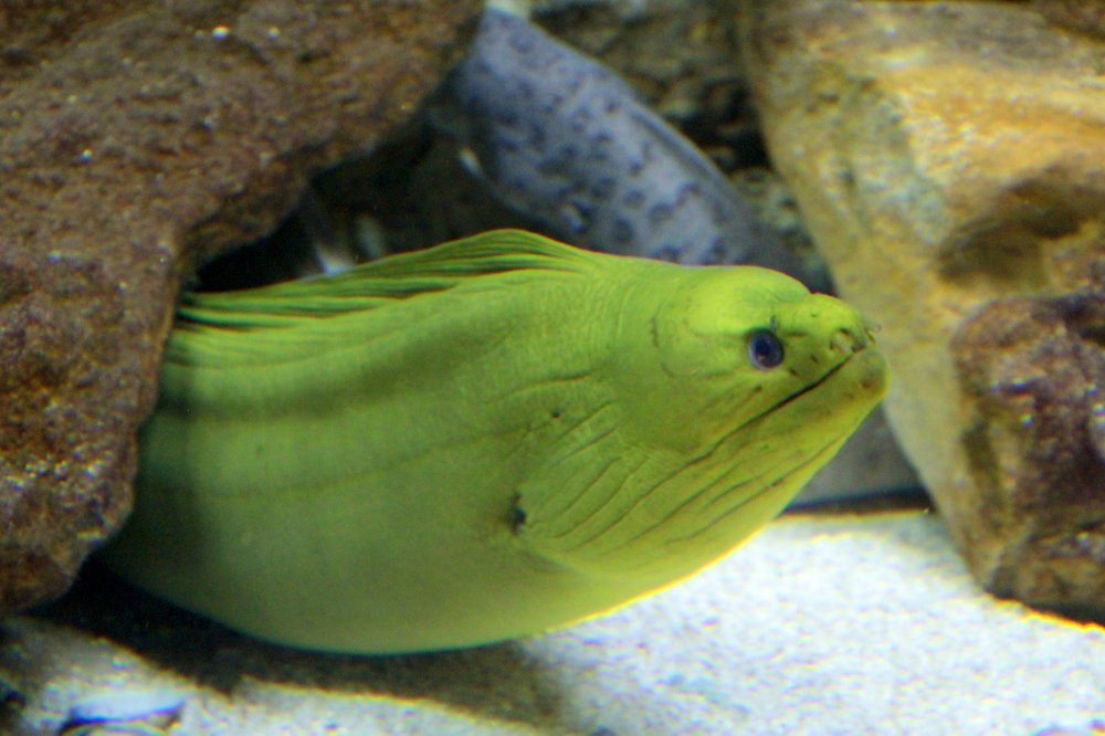 Photograph by Игорь Быков