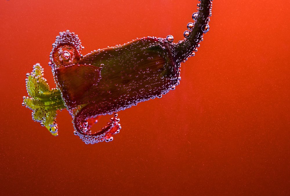 Photograph by Виктория Солодар