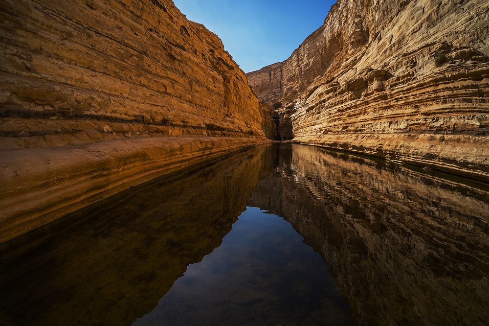 Photograph by Виктория Солодар