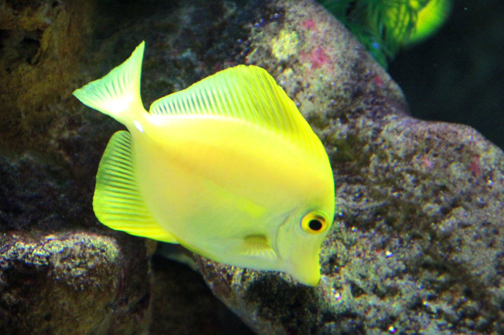 Photograph by Игорь Быков