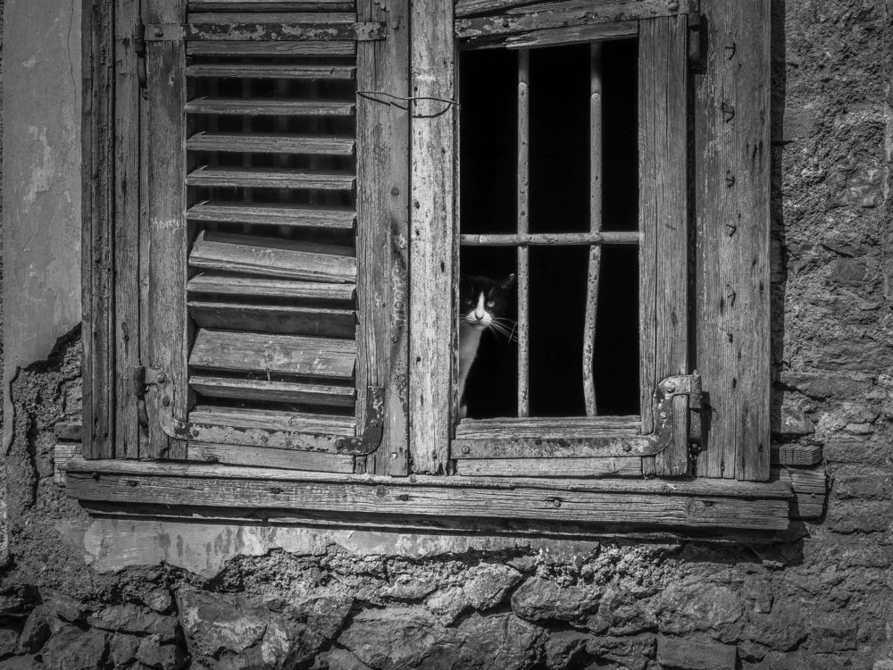 Photograph by Георгий Акопджанов