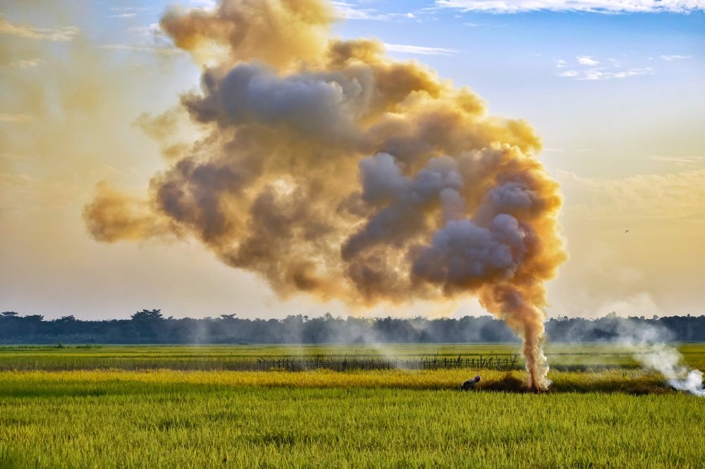 Photograph by  Asamanj Maiti