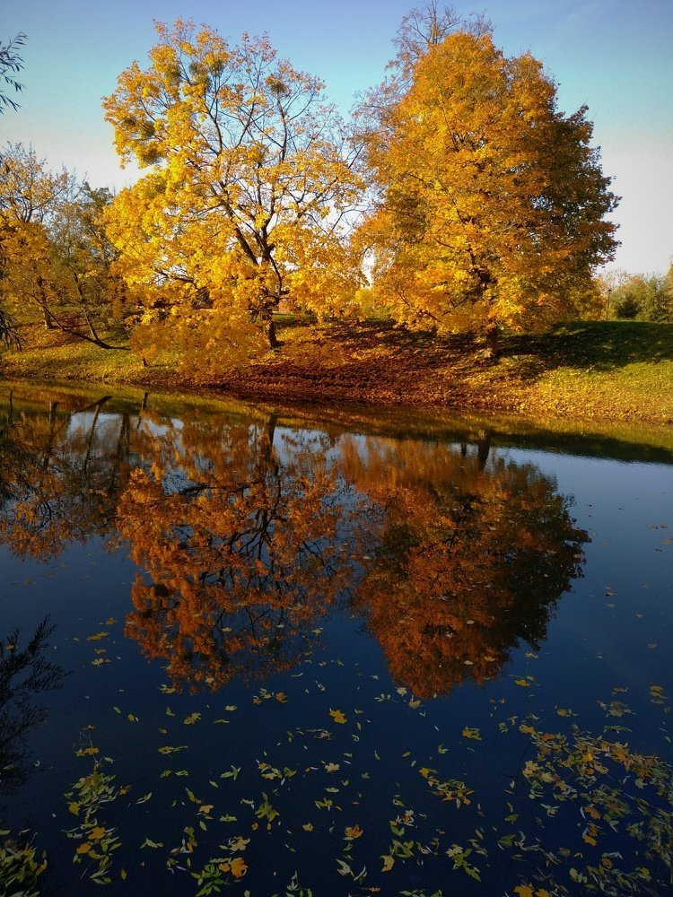 Photo #3779844